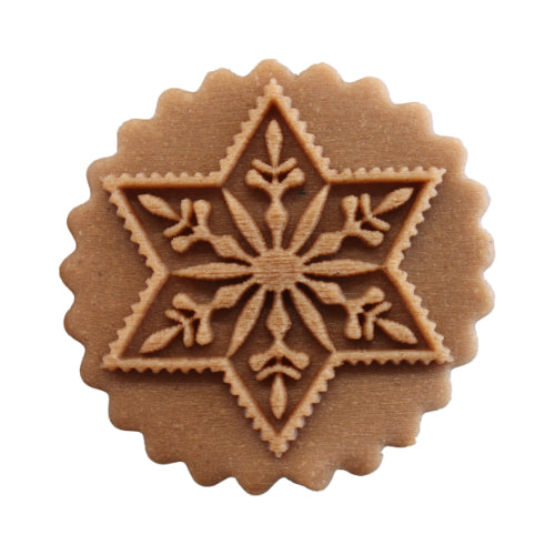 Stern mit Zweigen (114)