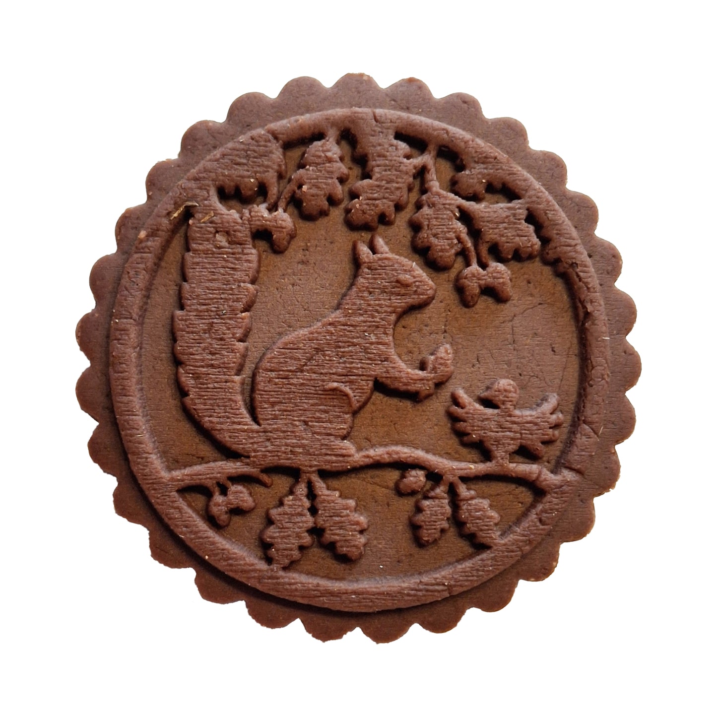 Eichhörnchen am Baum (563)