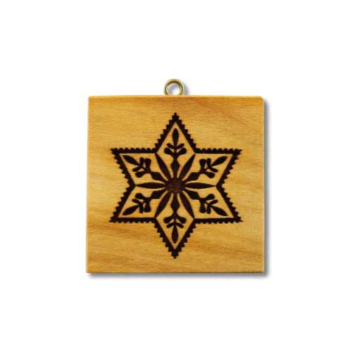 Stern mit Zweigen (114)