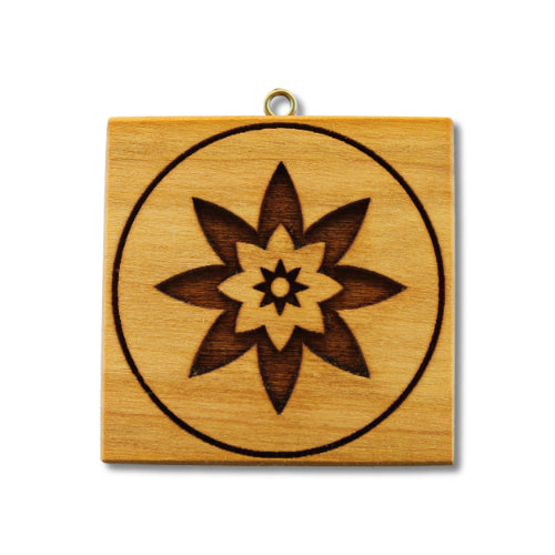 Stern mit Blume abgerundet (136)