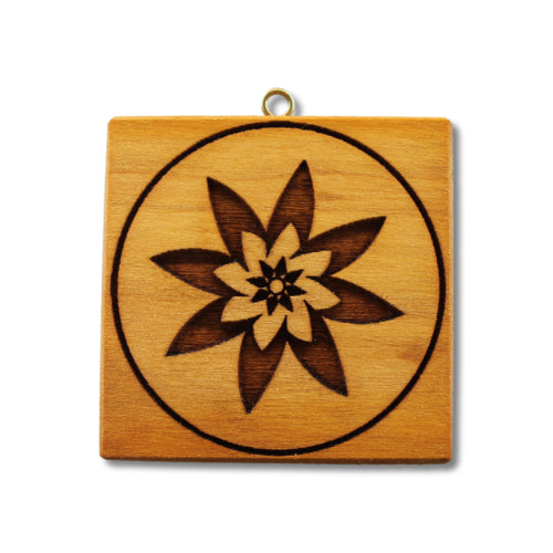 Stern mit Windmühlen (138)