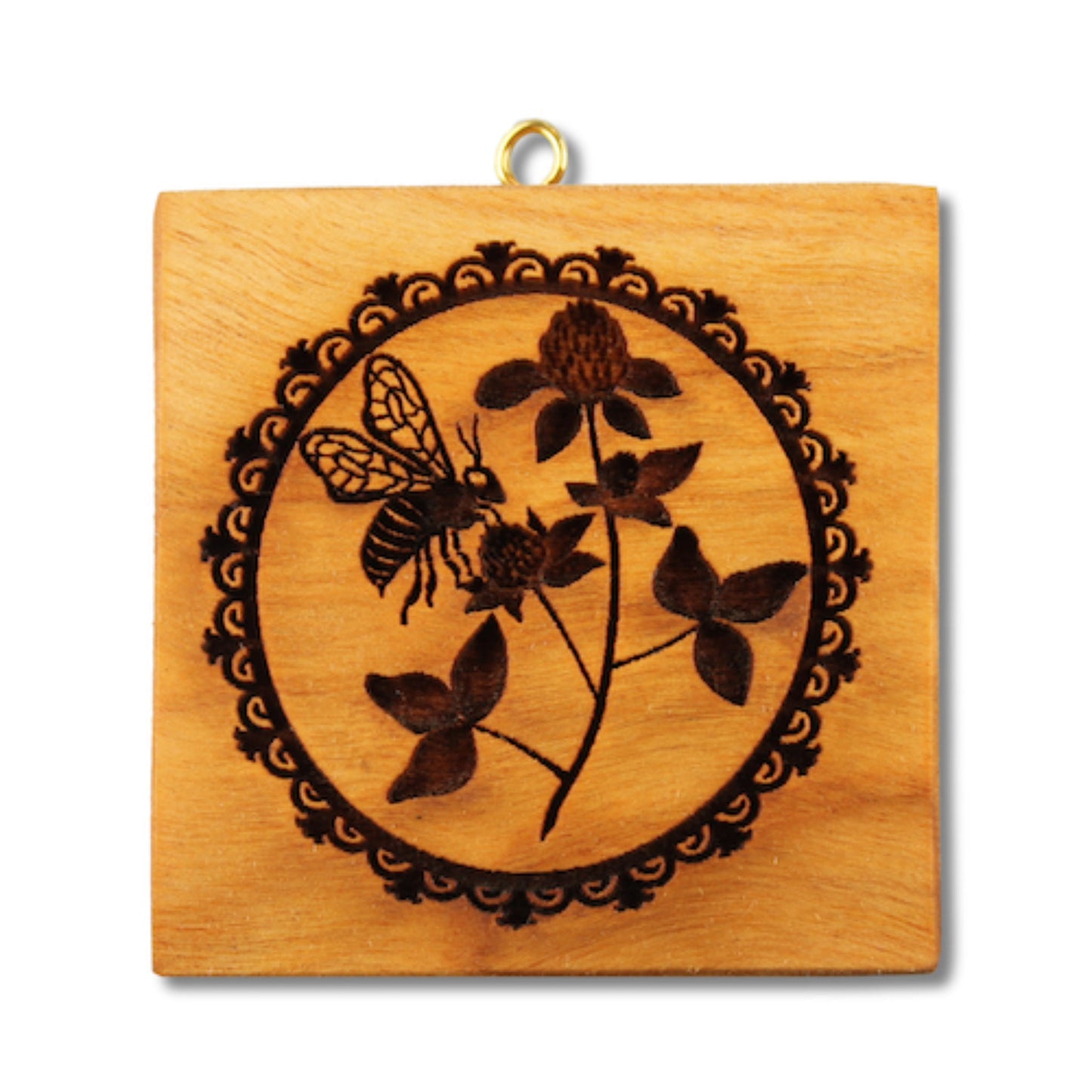 Biene auf Klee (433)