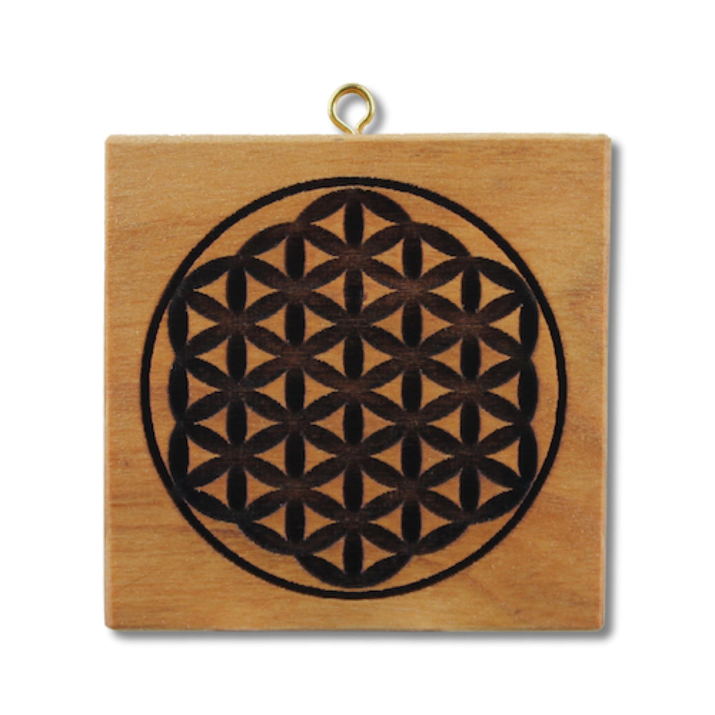 Blume des Lebens (434)