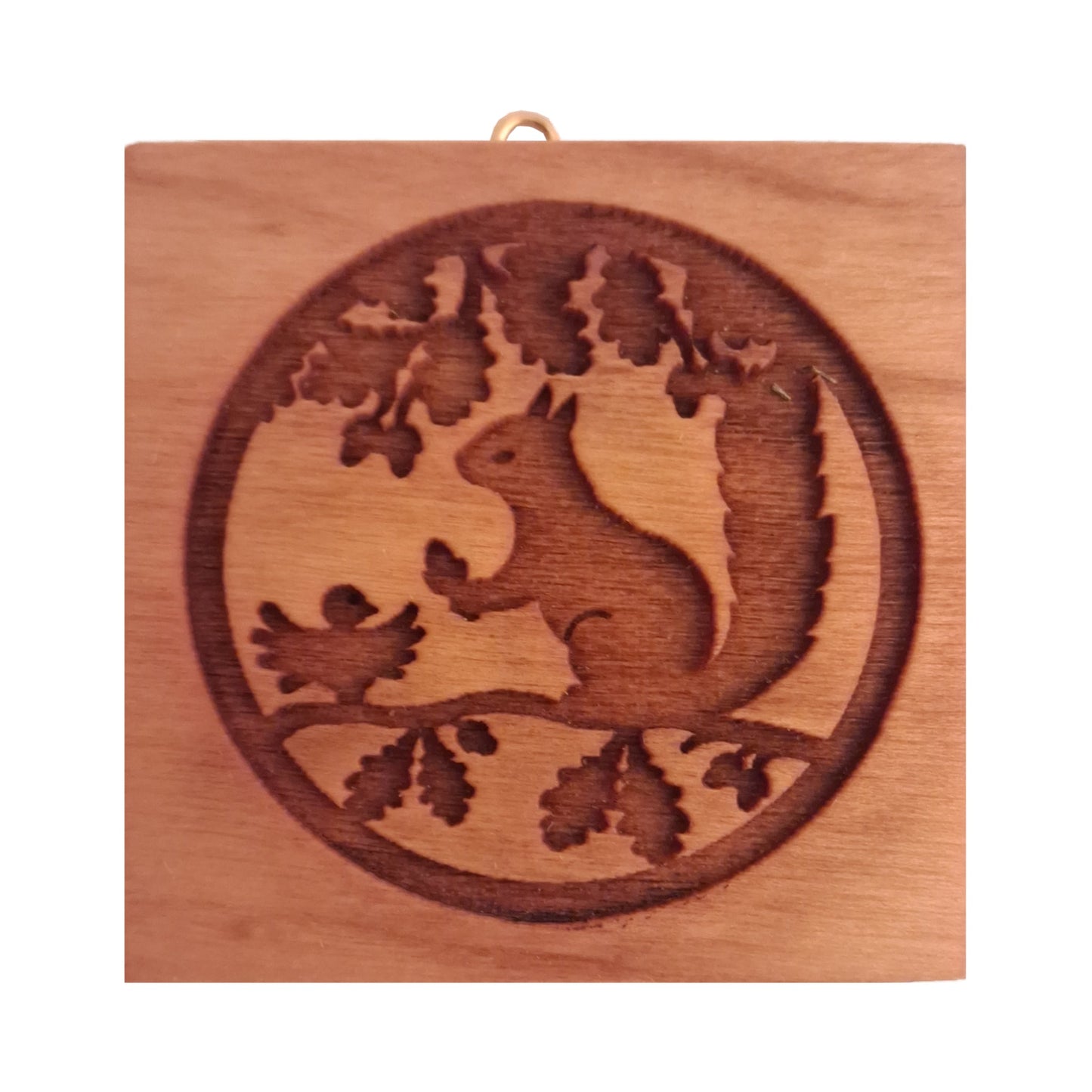 Eichhörnchen am Baum (563)