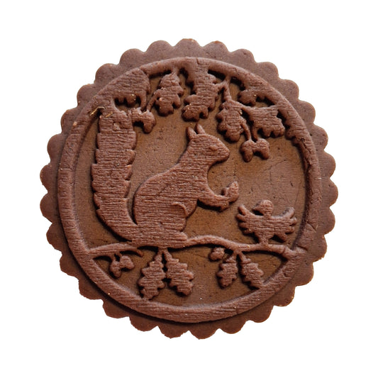 Eichhörnchen am Baum (563)