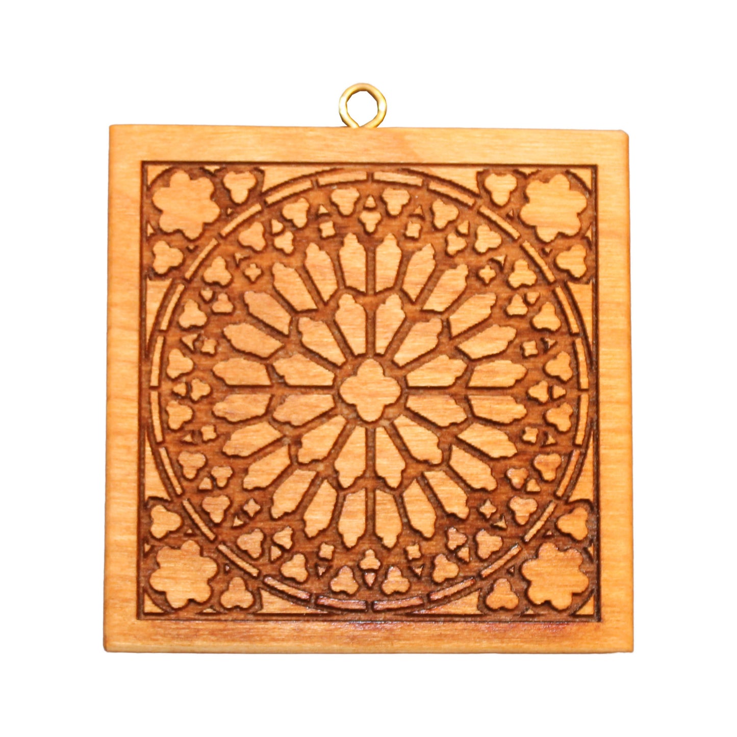 Rosenfenster Notre Dame (813)