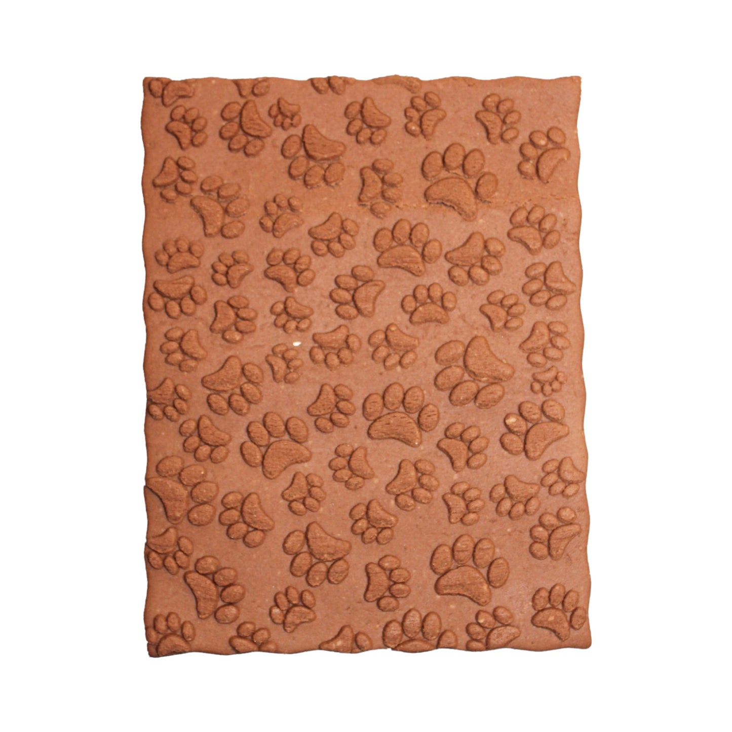 Pfotenabdrücke (906)