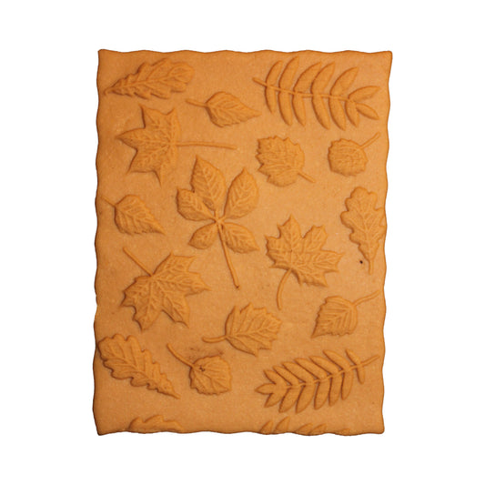 Herbstblätter (978)